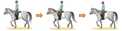 How To Improve Your Riding Skills The Trot Part 1｜minnano Jouba
