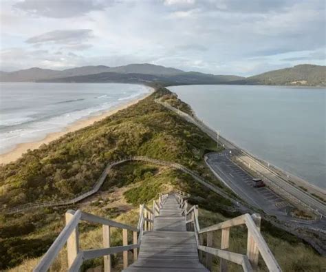The Neck Lookout And Camping Bruny Island Enjoy Tasmania