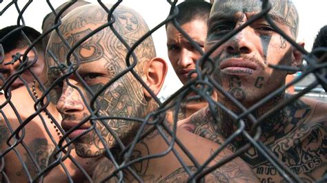 The 5 Most Dangerous Gangs In The World Urbantimes