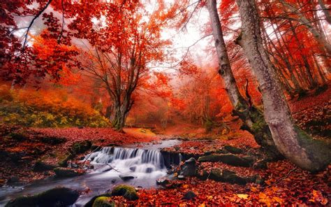Waterfall In Autumn Forest Image Id 31783 Image Abyss
