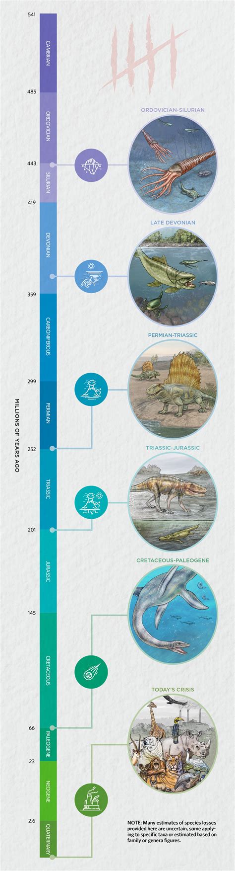 Infographic A Look At The Big Five Mass Extinctions Ts Digest The Scientist