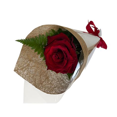 Single Red T Wrapped Rose I Love You