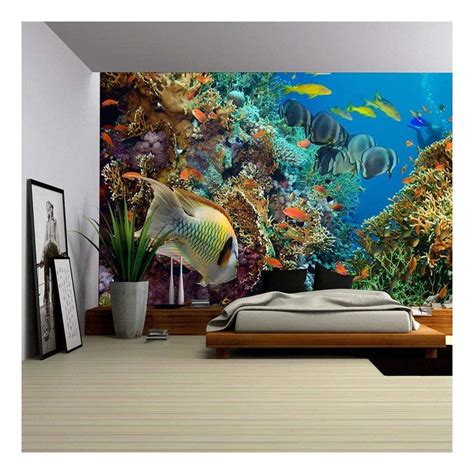 Wall26 Tropical Anthias Fish With Net Fire Corals On Red Sea Reef