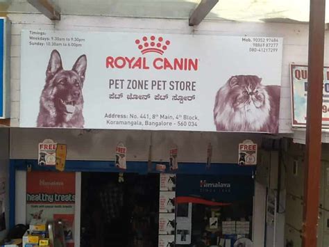 Top 165 Pet Animals Shop In Bangalore