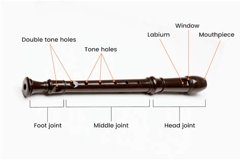 The Different Parts Of A Recorder Its Anatomy And Structure