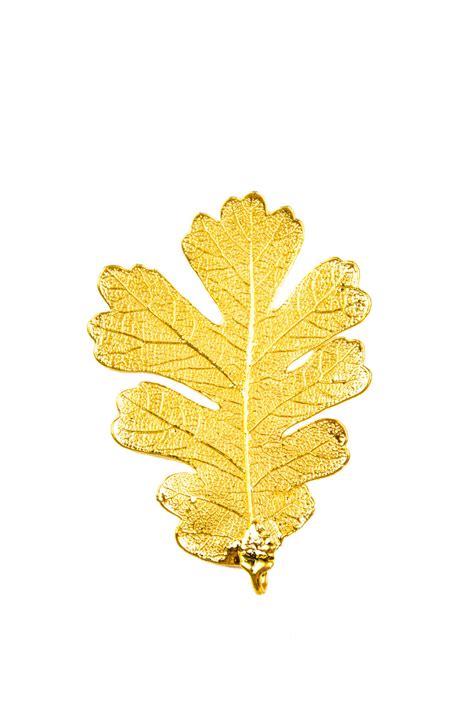Gold Oak Leaf The Quest Gallery