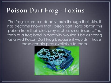 Ppt Poison Dart Frog Affects On Nervous System Powerpoint