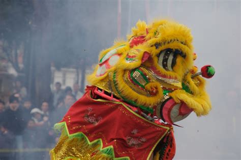 Saredo tsumibito wa ryuu to odoru: The Difference Between Chinese Lion and Dragon Dances
