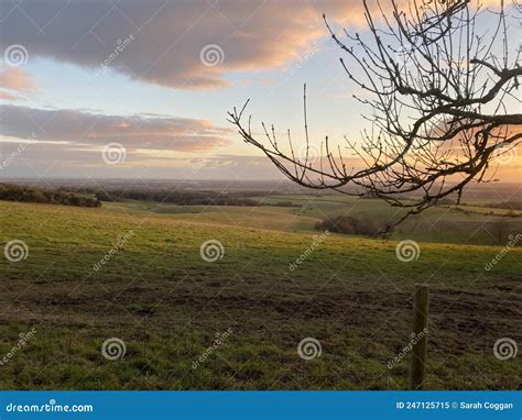 View Of Countryside At Dusk On The Trundle Stock Image Image Of
