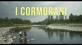 Trailer du film The Cormorants, The Cormorants Bande-annonce VO - CinéSérie