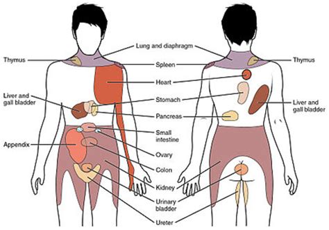 Lower right side back and hip pain. Kidney Pain: 10 Causes with Symptoms | HubPages