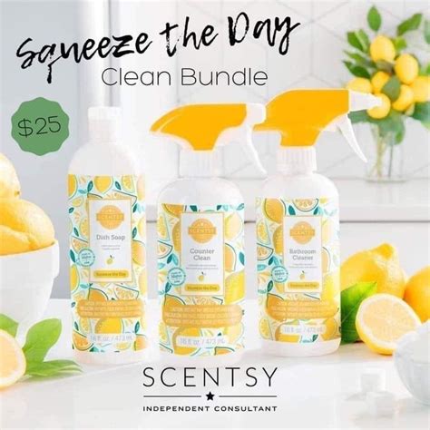 Classic Clean Bundle In 2020 Scentsy Cleaning Products Scentsy Cleaning