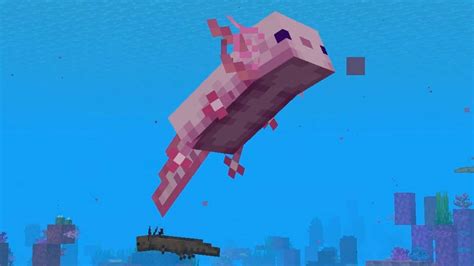 Minecraft Axolotl Colors Gamer Journalist