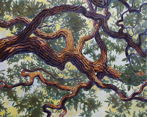 Live Oak Painting By Andrew Danielsen Fine Art America