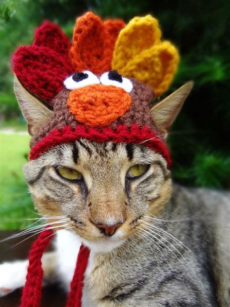 How To Have A Happy And Safe Thanksgiving With Your Cat Cattime Cute