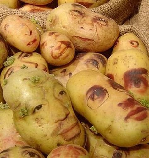 Potato Portraits The Real Life Potato Heads Bit Rebels