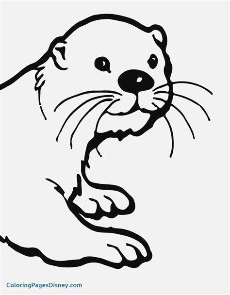 Simple Otter Drawing At Explore Collection Of