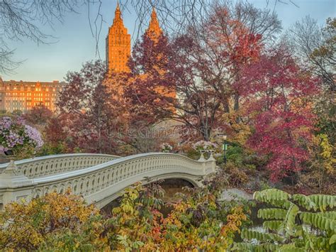 Bow Bridge Central Park Autumn Stock Photo Image Of Landmark Foliage