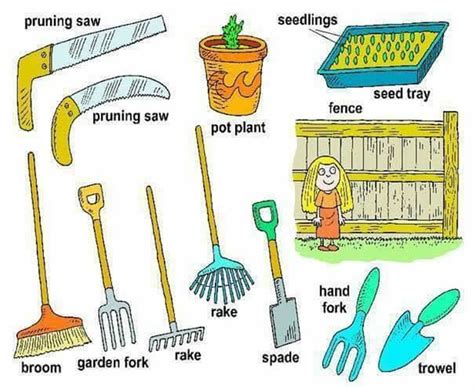 In The Garden Gardening Tools Vocabulary Eslbuzz