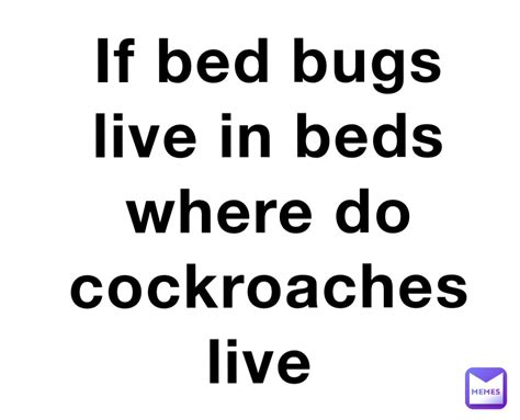 If Bed Bugs Live In Beds Where Do Cockroaches Live Crochetperson Memes