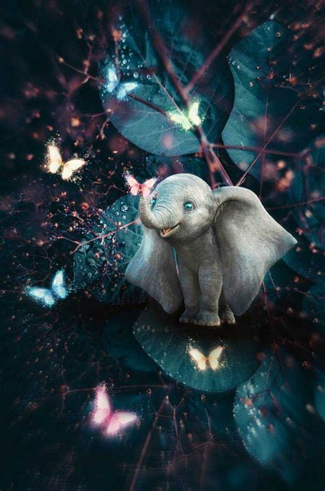 1920x1080px 1080p Free Download Baby Elephant Cute Elephant