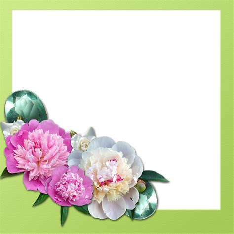 Download Frame Peony Roses Gems Pitcher Good Morning Clipart Png