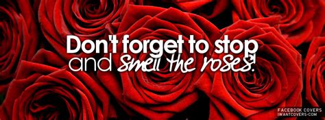 Check spelling or type a new query. The World According To Dane: Your life is happening right ...