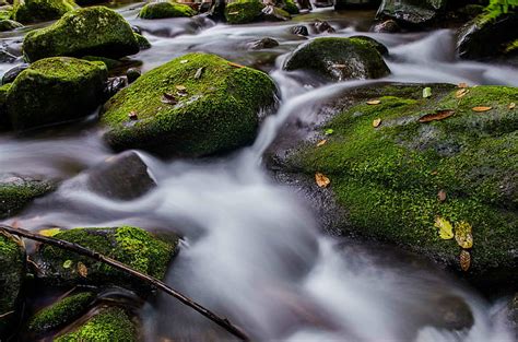 Hd Wallpaper Rock With Moss With Water Stone Bukidnon Philippines