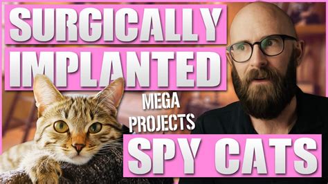Acoustic Kitty The Cias Plan To Spy With Cats Youtube