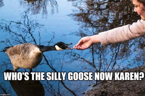 What Do You Meme Geese Contest Library University Of Waterloo