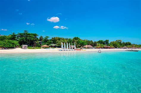 Booby Cay Island A Gem Off Jamaicas Shores Beaches