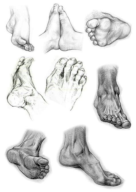 Pinterest Анатомический рисунок Анатомическое искусство Рисование
