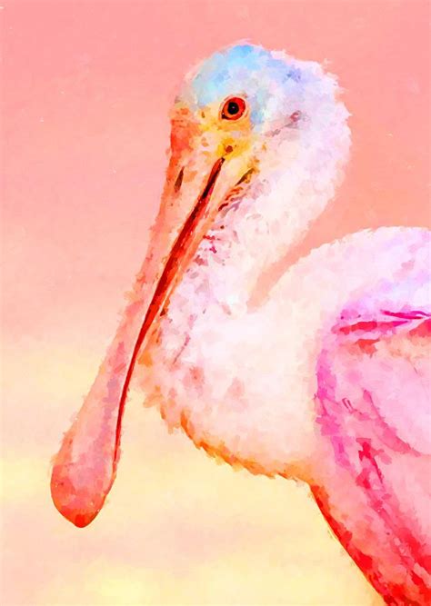 Roseate Spoonbill By Chris Butler Bird Art Watercolor Bird Art Prints