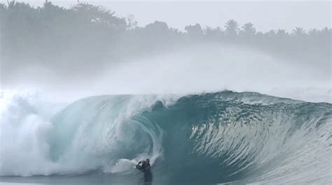 Porkito Experiencia En Indo Surfer Rule Más Que Surf Olas Gigantes