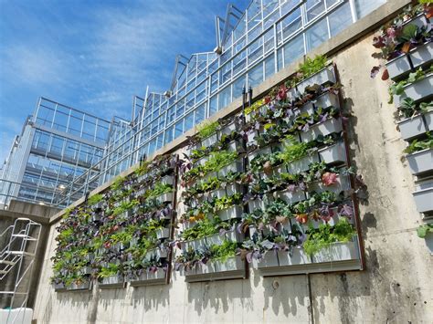Phipps Conservatory Adds Vertical Garden Display