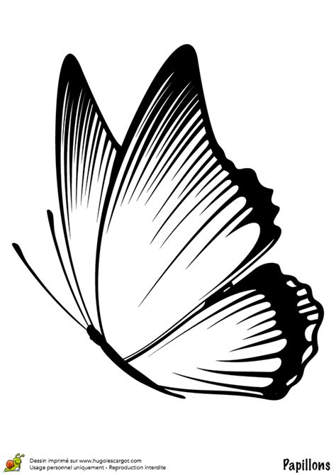 Coloriage De Papillons à Imprimer Gratuit Voyager En Solo