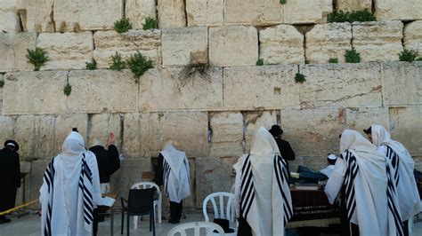 F R Er Inseln Hemisph Re Plantage Western Wall Foundation Weitermachen