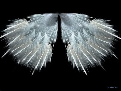 Angel Wings By Jacquelined On Deviantart