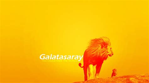 Galatasaray'ı dijital pazarlamanın tüm boyutlarında başarıya götürecek yol haritasını. Aslan Resim - Wallpaper - Güzel Resimler - Manzara Resimleri