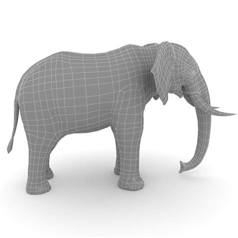 African Elephant 3d Model 10 Obj Fbx 3ds Max Free3d