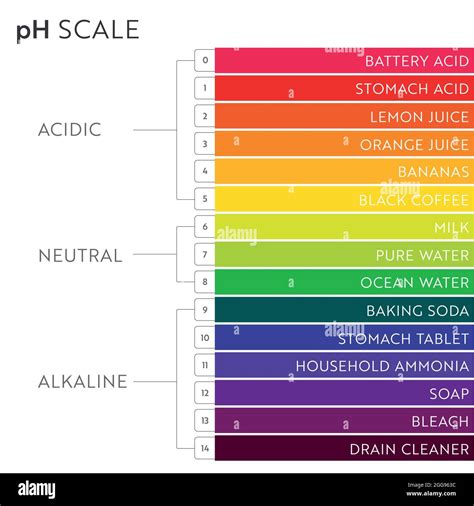 Tabla De Escala De Valores De Ph Infografía Del Equilibrio ácido Base