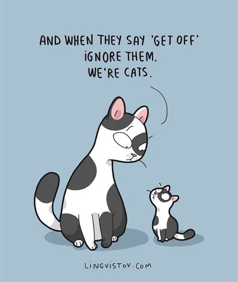 cet illustrateur raconte avec humour le quotidien de vivre avec un chat paroles de chat beaux