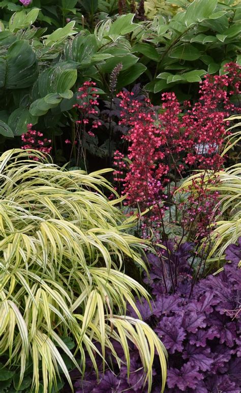 See More Great Plant Combinations In The Book Spectacular Plant
