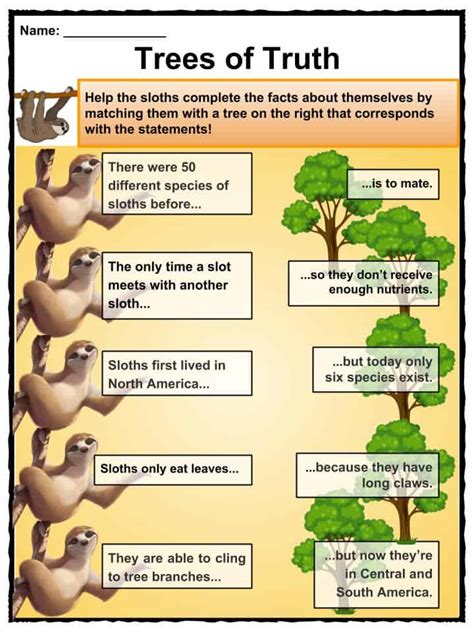 Sloth Facts And Worksheets For Kids Diet Habitat Behavior