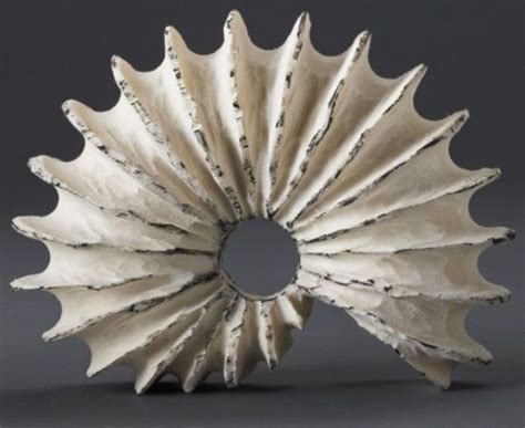 Shell A T From The Sea 40 Wondrous Pictures Ekstrax Shell Sculpture Wood Sculpture