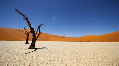 Namib Coastal Desert 4k Wallpapers Hd Wallpapers Id 19735