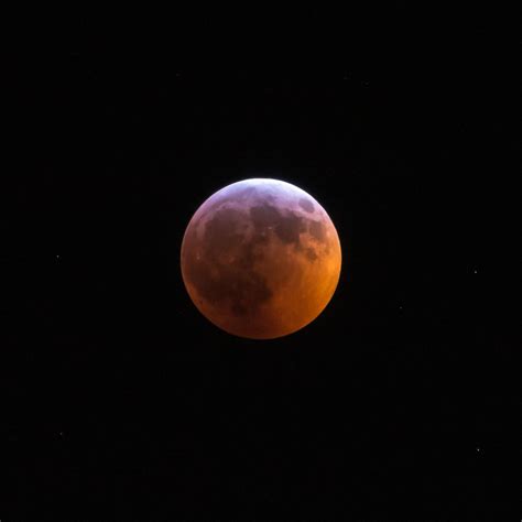Moon Over Maplewood Local Photographer Captures Super Blood Wolf Moon
