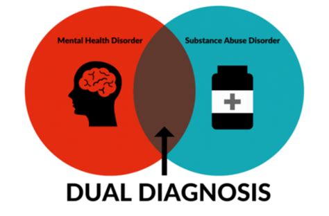 Fighting Substance Abuse And Mental Health A Dual Diagnosis Medicalopedia