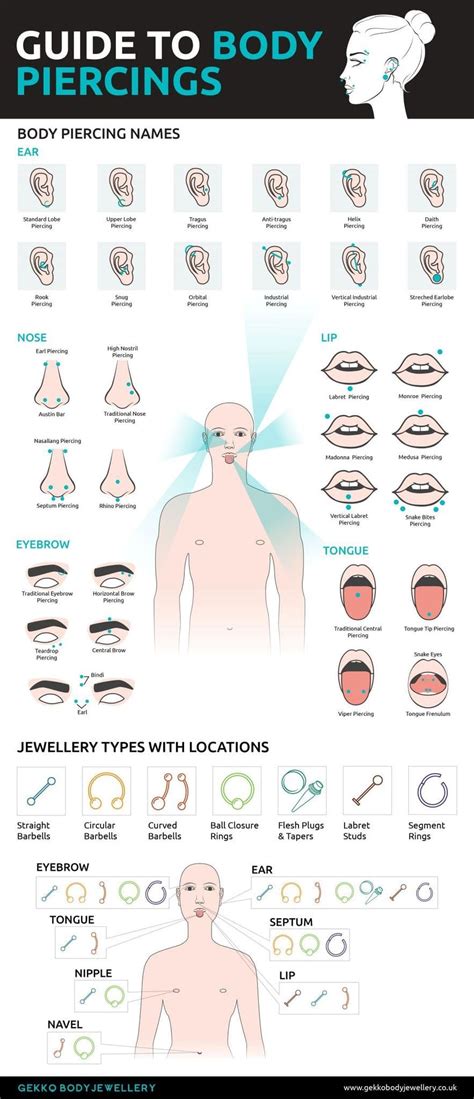 Body Piercing Infographic Gekko Body Jewellery