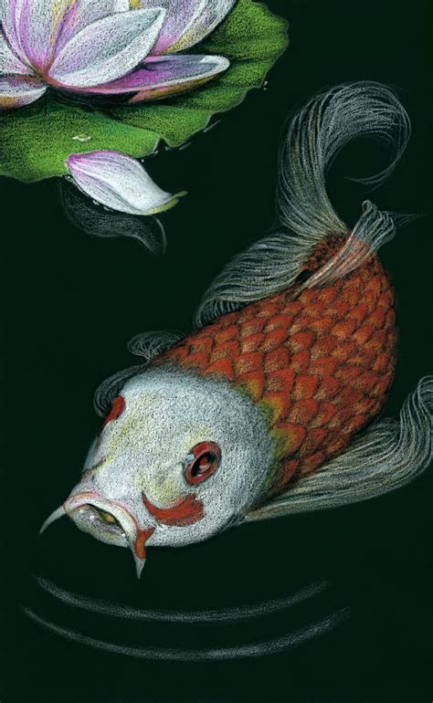 And pencil drawing for beginners is a skill that requires a good foundation on theories. Drawing On Black Paper With Color Pencil 17 Best Art ...